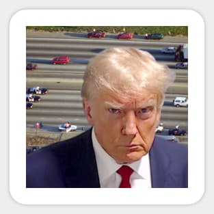 Trump Mugshot / OJ Sticker